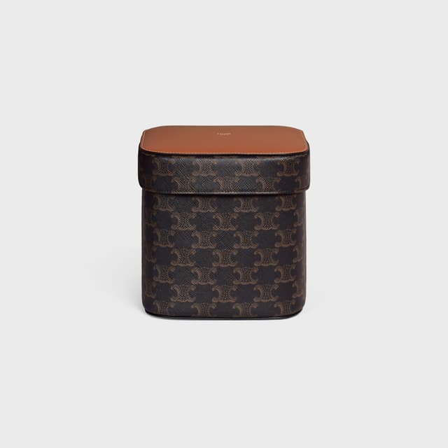 CELINE Large Box in Triomphe Canvas and Calfskin