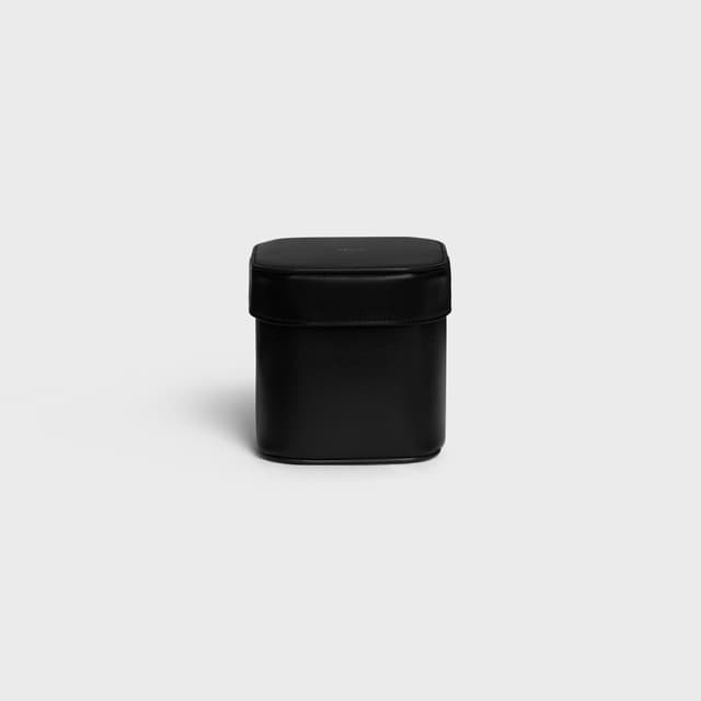 CELINE Small Box in Shiny Calfskin