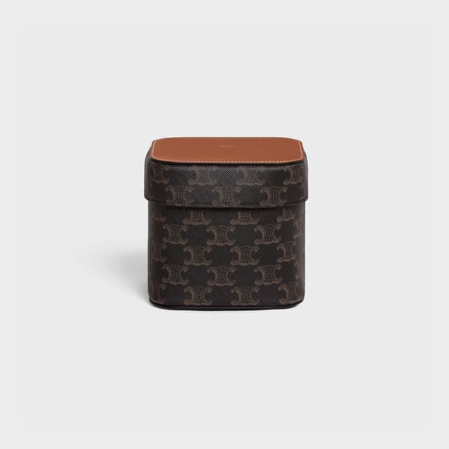 CELINE Medium Box in Triomphe Canvas and Calfskin