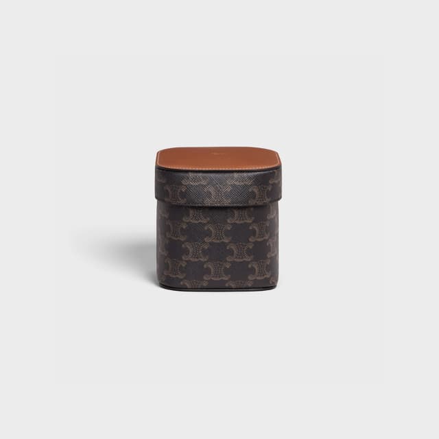 CELINE Small Box in Triomphe Canvas and Calfskin